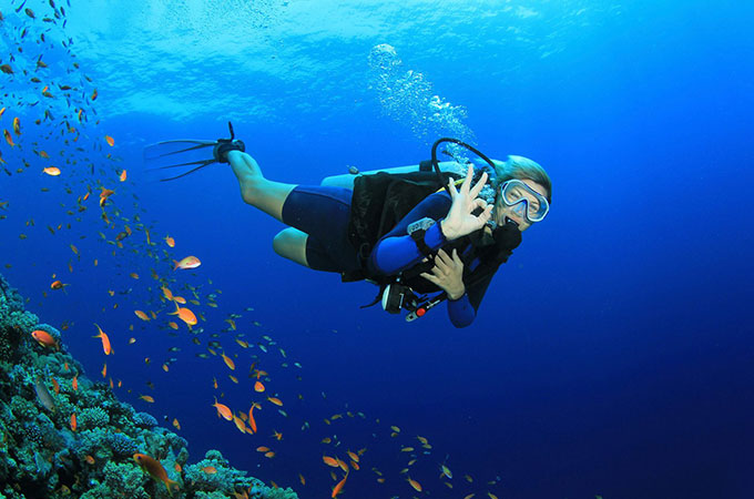 scuba diving in andaman price